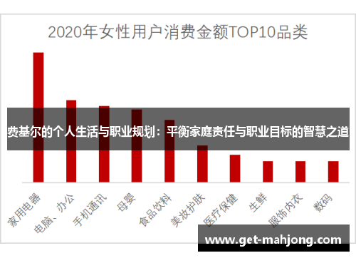 费基尔的个人生活与职业规划：平衡家庭责任与职业目标的智慧之道