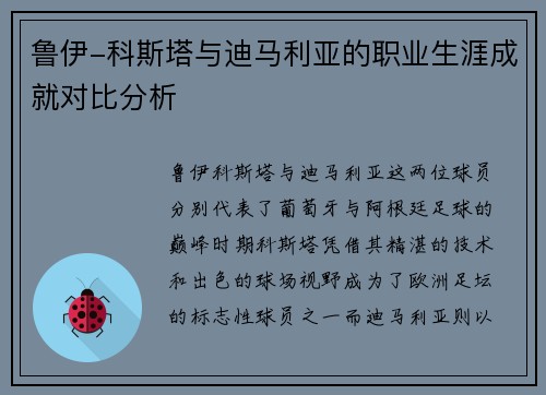 鲁伊-科斯塔与迪马利亚的职业生涯成就对比分析